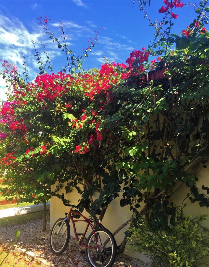Villa Royale Manor Corozal Town Esterno foto